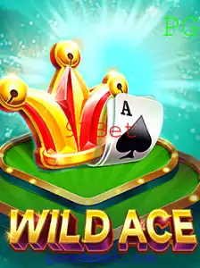 Descubra o Fascinante Mundo do Jogo WildAce com 9RBet